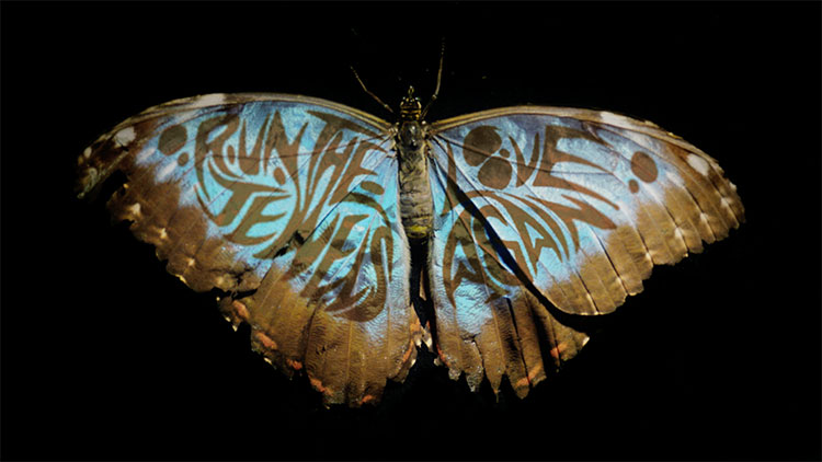 a blue and gold butterfly with Run the Jewels on one wing and Love Again on the other